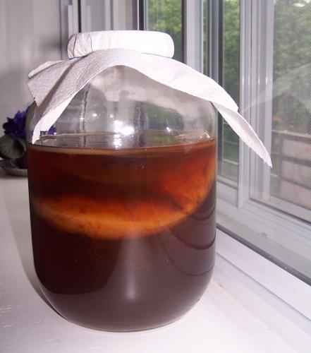 Kombucha: The Miracle Elixir