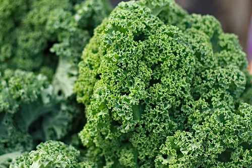 The Health Benefits of Kale