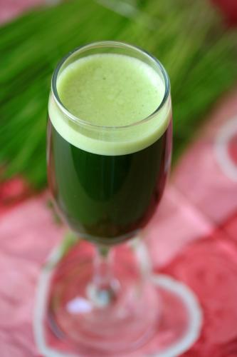 Benefits of Wheatgrass for Multiple Sclerosis