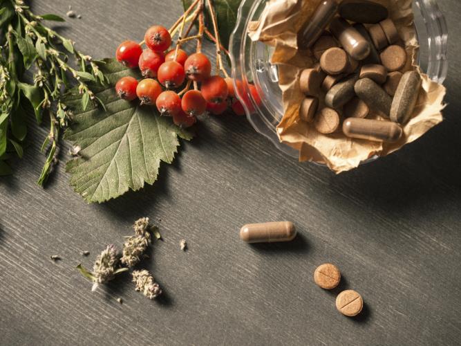 Supplements, Vitamins and Herbs for MS