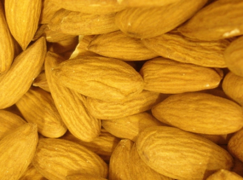 Nuts and Nutrition Nuts and Nutrition
